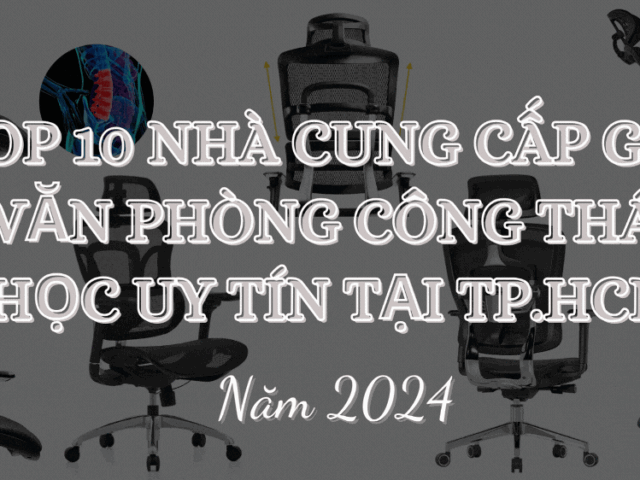 Top 10 Nhà cung cấp ghế văn phòng công thái học uy tín tại TP.HCM năm 2024