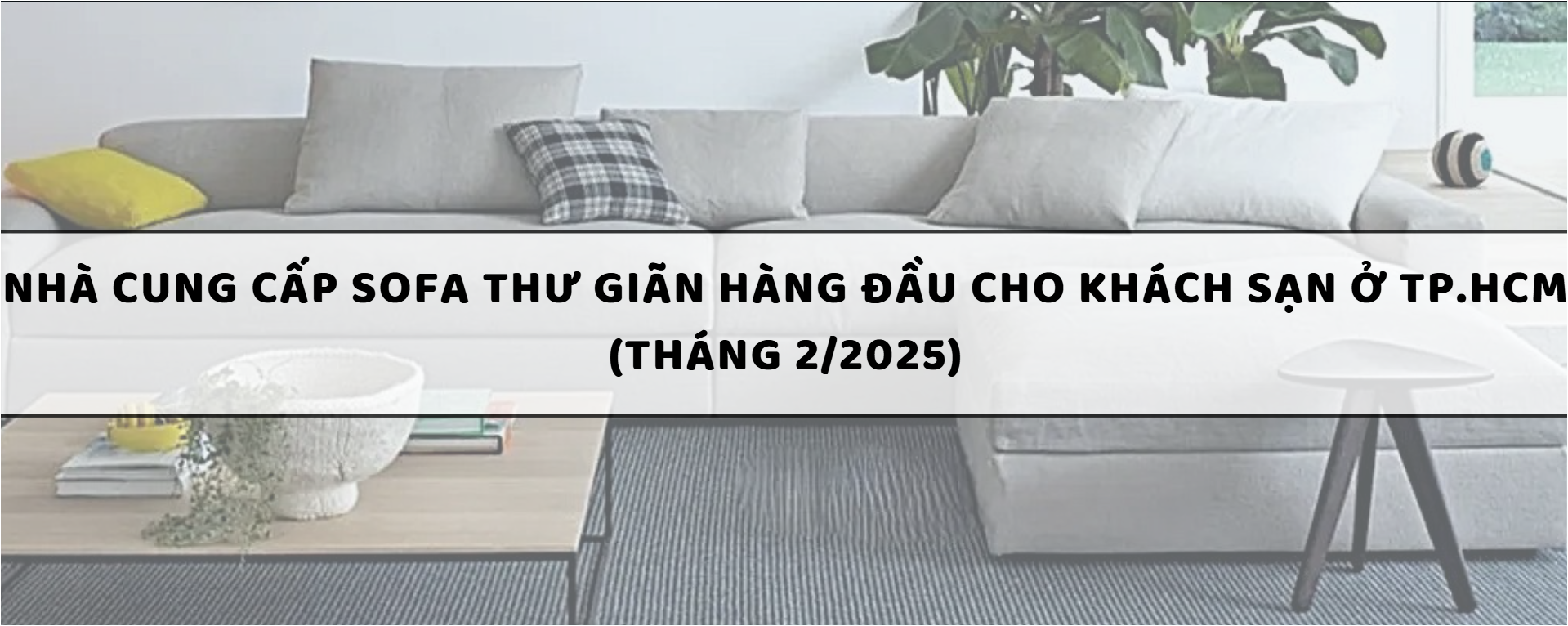 Nhà cung cấp sofa thư giãn hàng đầu cho khách sạn ở TP.HCM (Tháng 2/2025)