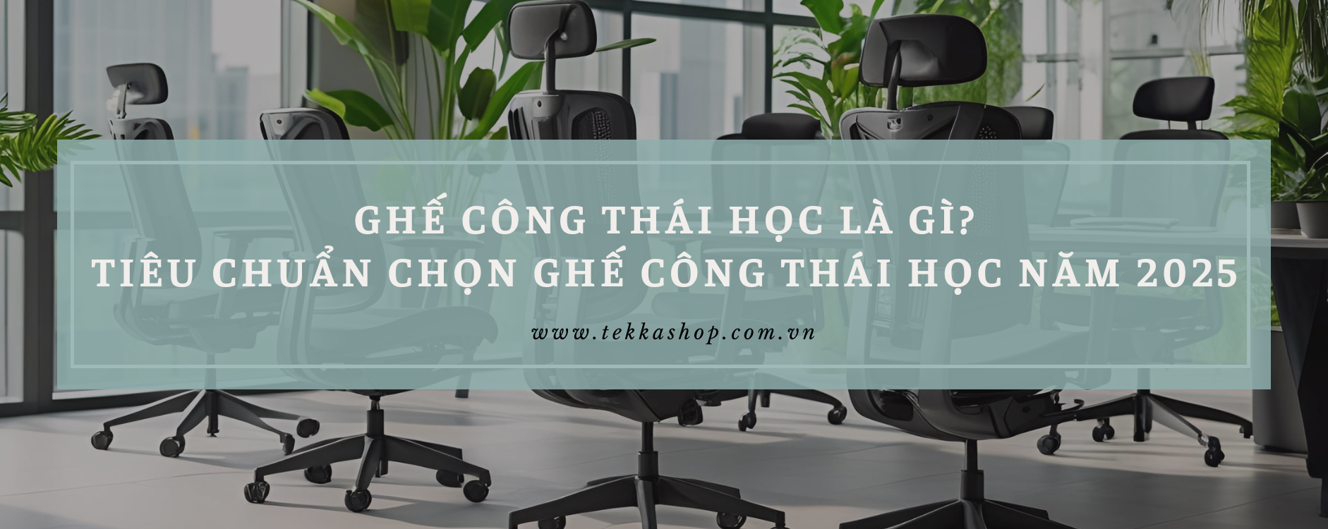Ghế công thái học là gì? Tiêu chuẩn chọn ghế công thái học năm 2025